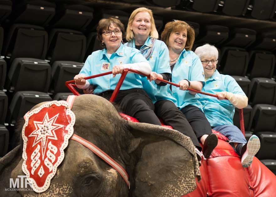 shrine-circus-elephant-ride